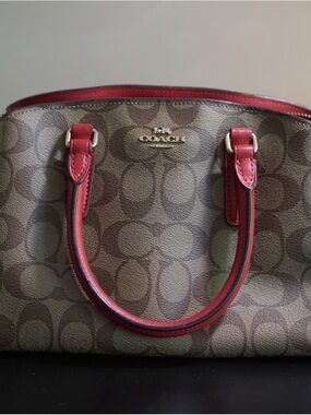 Coach Mini Sage Carryall in Signature Canva